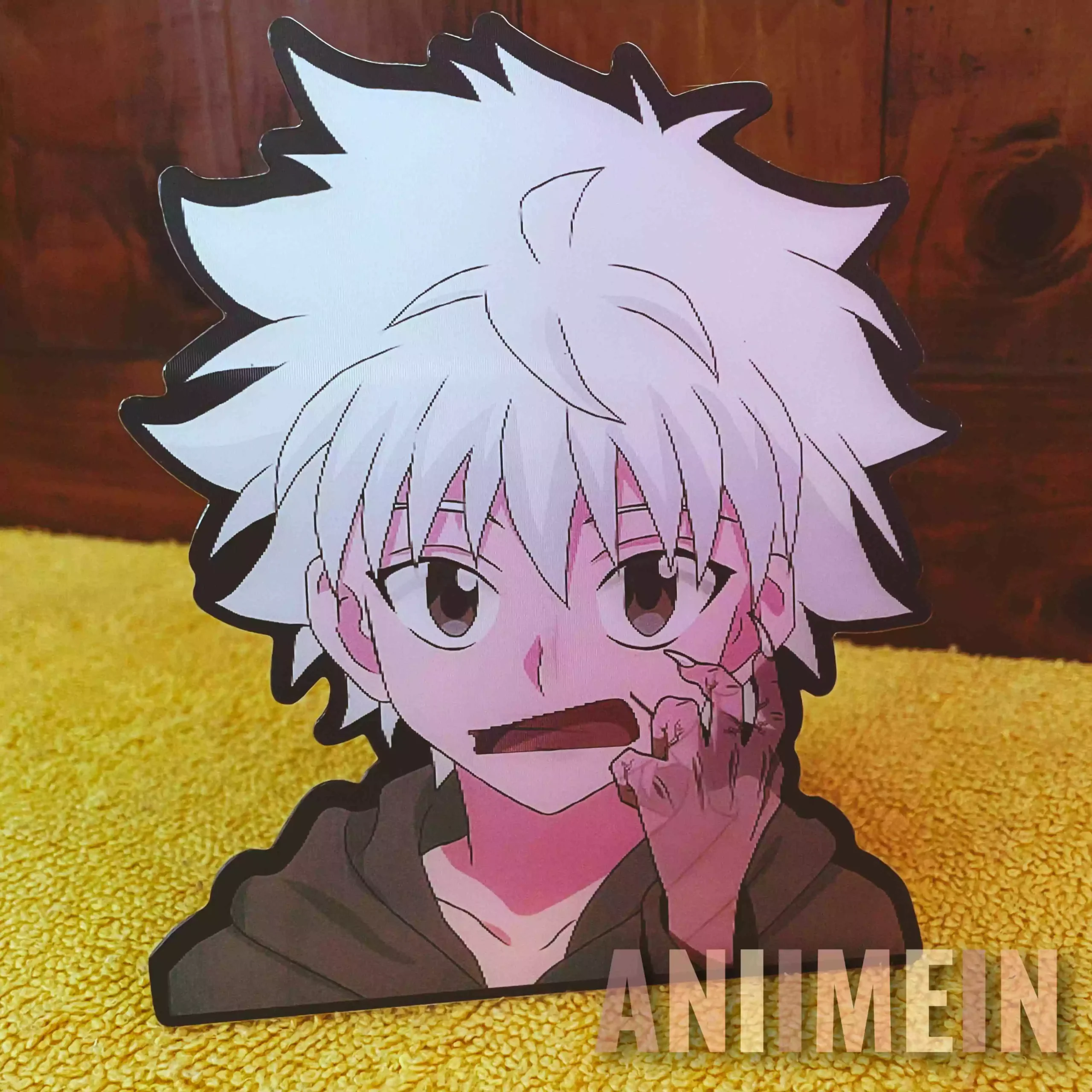 HUNTER x HUNTER (Style-1)