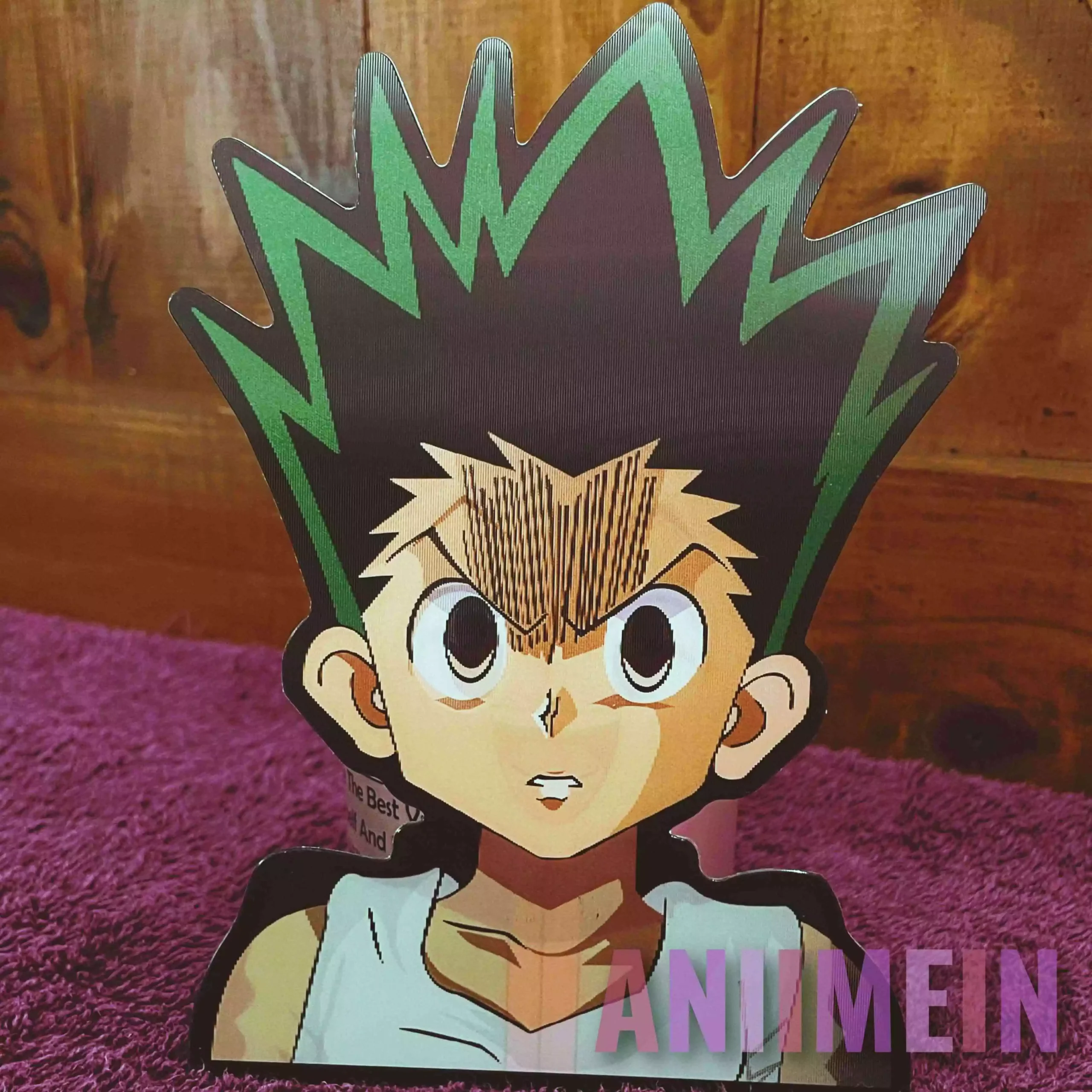 HUNTER X HUNTER (Style-3)